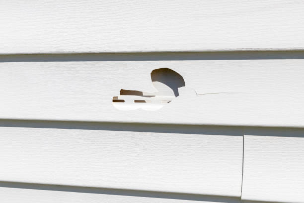 Best Shed Removal  in Piermont, NY